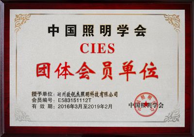 Group Member of China Lighting Association