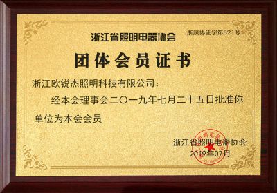 Zhejiang Lighting Appliance Association-Group Member Certificate