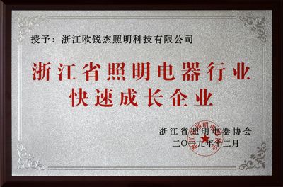 Zhejiang Province Lighting Industry fast-growing companies