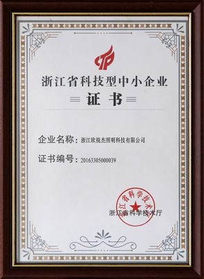High-tech SMEs in Zhejiang Province