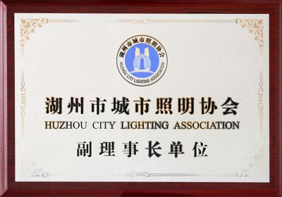 Vice Chairman Unit of Huzhou Lighting Association