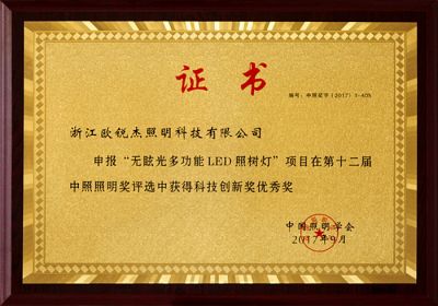 The 12th Zhongzhao Lighting Award-Science and Technology Innovation Excellence Award