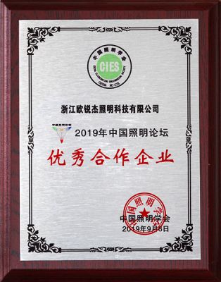 2019 China Lighting Forum Outstanding Cooperative Enterprise