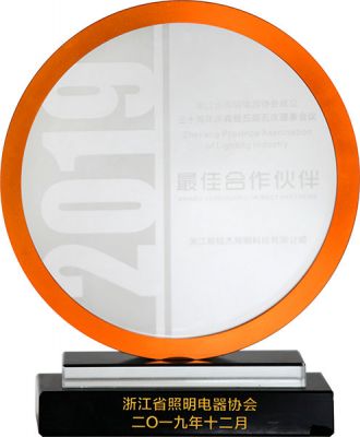 Best Partner of Zhejiang Lighting and Electrical Association in 2019
