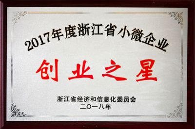 2017 Zhejiang Small and Micro Enterprise Startup Star 