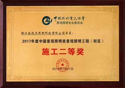 2017 Second Prize of Landscape Lighting Project Construction