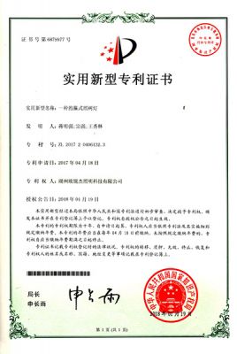 一种抱箍式照树灯