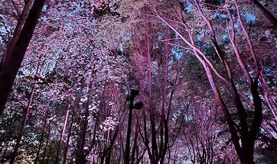 Lishui Waterfront Park